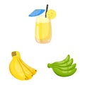 Isolated object of tropical and ripe sign. Set of tropical and potassium vector icon for stock.