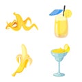 Isolated object of tropical and ripe symbol. Set of tropical and potassium vector icon for stock.