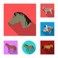 Isolated object of trot and running logo. Set of trot and clipart vector icon for stock.