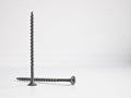 Isolated object - two black wood screws Royalty Free Stock Photo