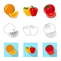 Vector illustration of vegetable and fruit icon. Set of vegetable and vegetarian stock symbol for web. Royalty Free Stock Photo