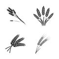 Vector illustration of wheat and stalk sign. Collection of wheat and grain vector icon for stock.