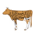 Isolated object on white background. The cow for the restaurant is divided into parts, pieces of bull beef carcass