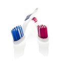 Isolated objects: his 'n hers toothbrushes Royalty Free Stock Photo