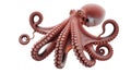 Isolated Octopus on White Background Royalty Free Stock Photo