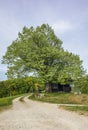 An isolated old log hut in the shadow of a oak tree in Switzerland Royalty Free Stock Photo