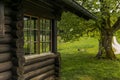 An isolated old log hut in the shadow of a oak tree in Switzerland Royalty Free Stock Photo