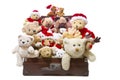 Isolated old teddy bears in a an old suitcase isolated - christmas team concept or teamwork