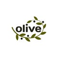 Isolated olive branch vector logo. Oil logotype. Natural healthy products icon. Royalty Free Stock Photo