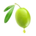 Green olive with drop of oil Royalty Free Stock Photo