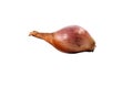 Isolated onion. Royalty Free Stock Photo