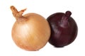 Isolated onions. Two onions of different colors on a white background. Yellow and red onions. Royalty Free Stock Photo