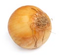 Isolated Onions on white background Royalty Free Stock Photo