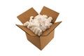 Isolated open cardboard box with packing peanuts Royalty Free Stock Photo