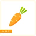 Isolated orange carrot memory training card