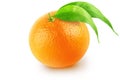 Isolated orange fruit. Whole orange with leaves isolated on white background with clipping path. Royalty Free Stock Photo