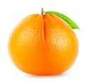 Isolated orange fruit. Whole single orange with leaf isolated on white clipping path Royalty Free Stock Photo