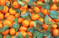 Isolated Mandarins background Royalty Free Stock Photo