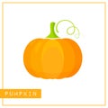 Isolated orange pumpkin memory training card