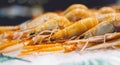 Isolated orange shrimp on ice background on the market, closeup of fresh crustacean products in restaurant, useful shellfish sea