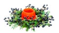 Isolated orange vase with christmas deco Royalty Free Stock Photo
