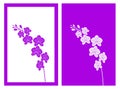 Orchid flower vector and illustration