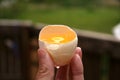 Fresh Broken raw Egg with Yolk Outdoor Background with Beautiful Morning Light