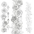 Isolated outline rose elements on white. Seamless brush for floral season design. Black and white.