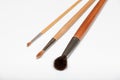 Paint brushes on white background