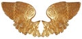 Isolated pair of aureate angel wings