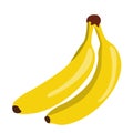 Isolated pair of bananas