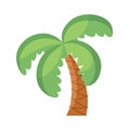 Isolated palm Belen vector illustration