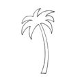 Isolated palm tree on a white background.