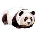 Isolated panda illustration element. Background, texture, wrapper pattern or tattoo.