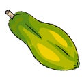 Isolated Papaya cartoon -Vector Illustration