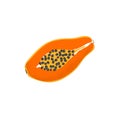 Isolated papaya icon. Vector tropical orange fruit