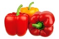 Isolated paprikas Royalty Free Stock Photo