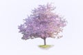 Isolated Pastel - Flowering Apple Tree