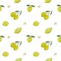 Isolated and pathed of fresh bright yellow lemons with leaves and flowers watercolor painting in seamless pattern white background Royalty Free Stock Photo