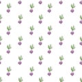 Isolated and pathed purple radish watercolor painting designed in seamless pattern on white background. leaves are green. Royalty Free Stock Photo