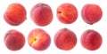 Isolated peach fruits at different angles