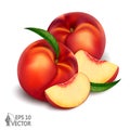 Isolated peaches, nectarines, realistic fresh vitamine fruit with slice, 3d illustration realistic, vector icon Royalty Free Stock Photo