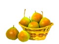 Isolated pears are in the basket. Royalty Free Stock Photo