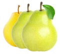 Isolated pears. Collection of pear fruits isolated on white, clipping path. Royalty Free Stock Photo