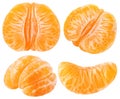 Isolated peeled citrus segments. Collection of tangerine (mandarin) or orange fruit slices isolated on white background Royalty Free Stock Photo