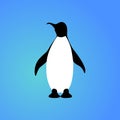 Isolated penguin on blue background. Sea animal, bird. Colorful penguin flat design. Front view