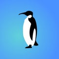 Isolated penguin on blue background. Sea animal, bird. Colorful penguin flat design. Side view