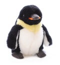 Isolated Penguin Stuffed Animal