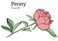 Isolated peony flower design in vector