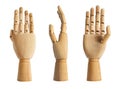 Isolated wooden carved dummy mannequin hand